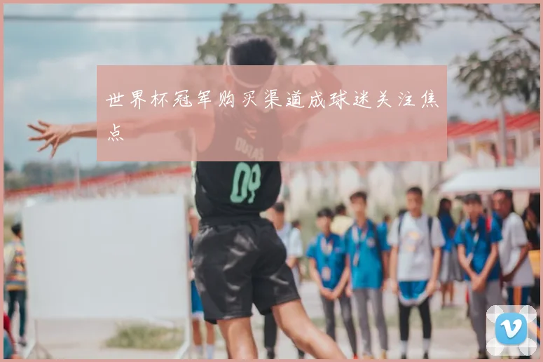 世界杯冠军购买渠道成球迷关注焦点