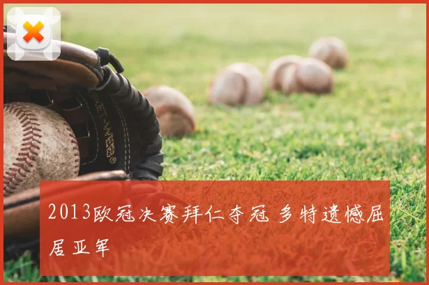 2013欧冠决赛拜仁夺冠 多特遗憾屈居亚军