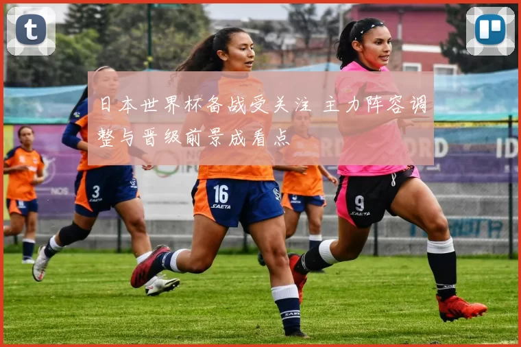 日本世界杯备战受关注 主力阵容调整与晋级前景成看点