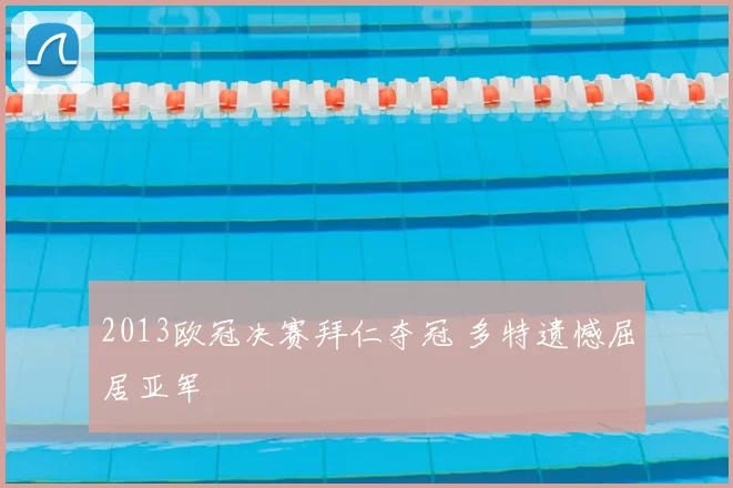 2013欧冠决赛拜仁夺冠 多特遗憾屈居亚军