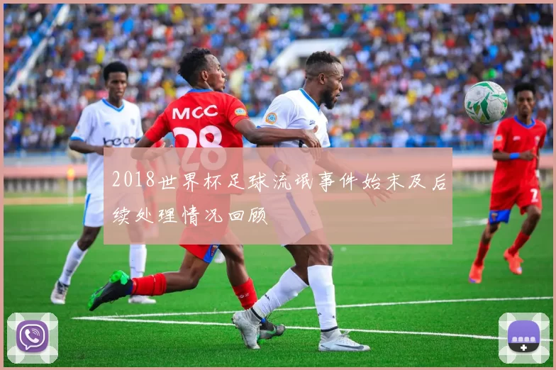 2018世界杯足球流氓事件始末及后续处理情况回顾