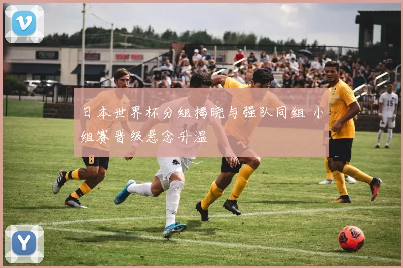 日本世界杯分组揭晓与强队同组 小组赛晋级悬念升温