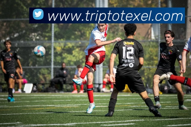 App Interface Preview